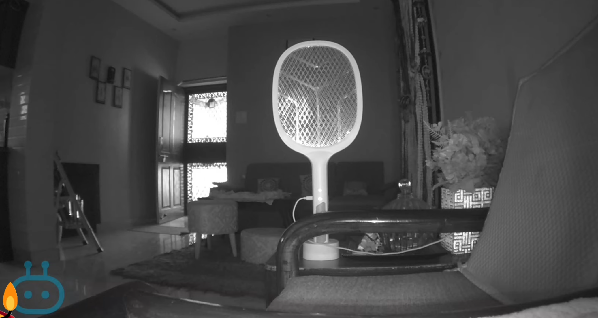 Mosquito Bat